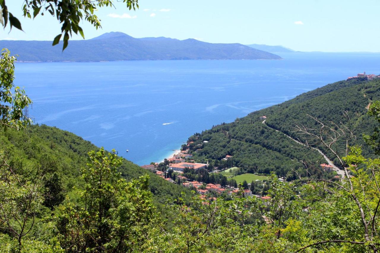 Apartments With A Parking Space Moscenicka Draga, Opatija - 7746 Exterior foto